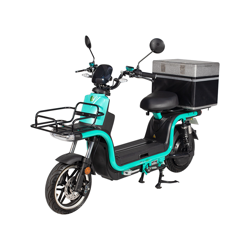 Quid provectus equitem subsidia systemata haec motorcycle electrica includit?