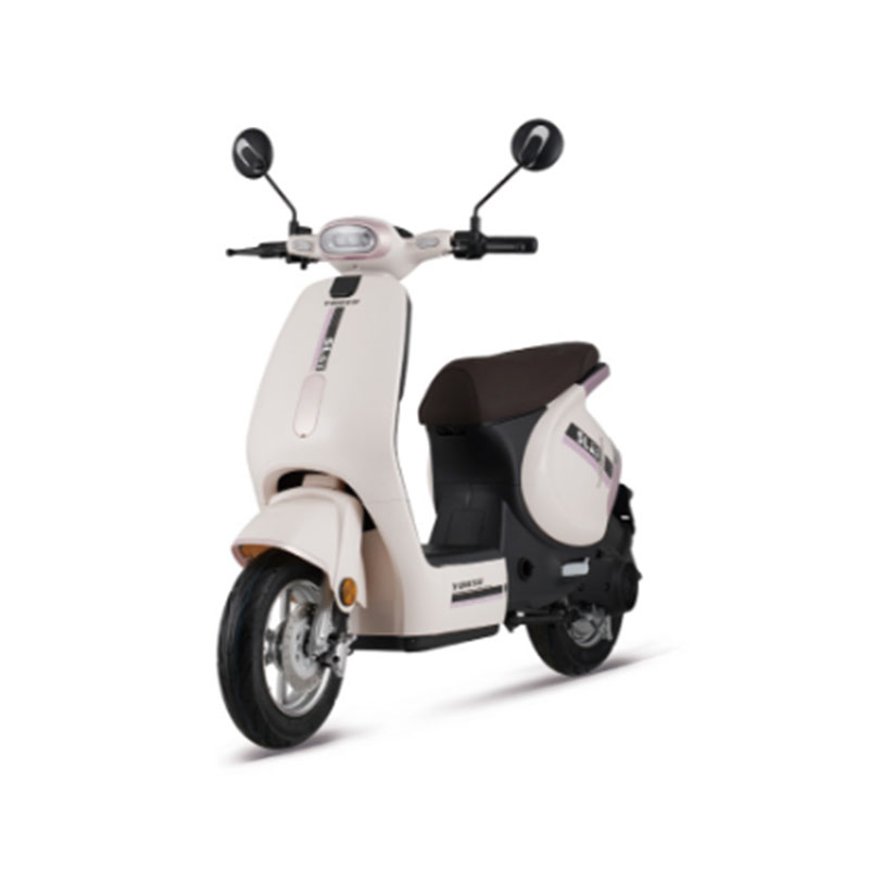 Quam arguere bicyclum Electric: Gradus Practicus, Salus, et Pugna Tutela